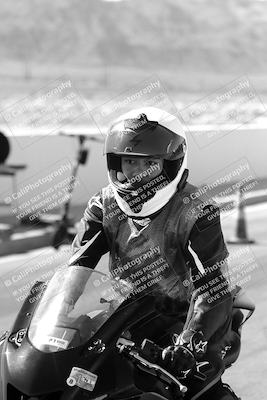 media/Mar-08-2025-TrackXperience (Sat) [[277b597a28]]/1-Around the Pits - Pre Grid/